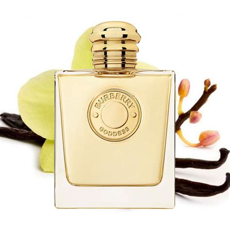 crema corpo burberry|Burberry Goddess Body Lotion Donna .